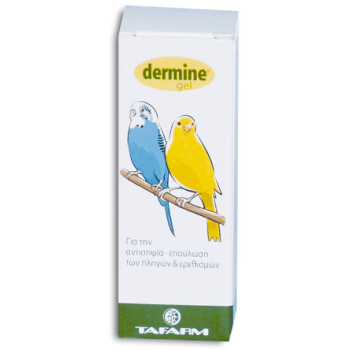 Tafarm dermine Gel για την αντισηψία- επούλωση των πληγών 4ml Tafarm dermine Gel για την αντισηψία- επούλωση των πληγών 4ml