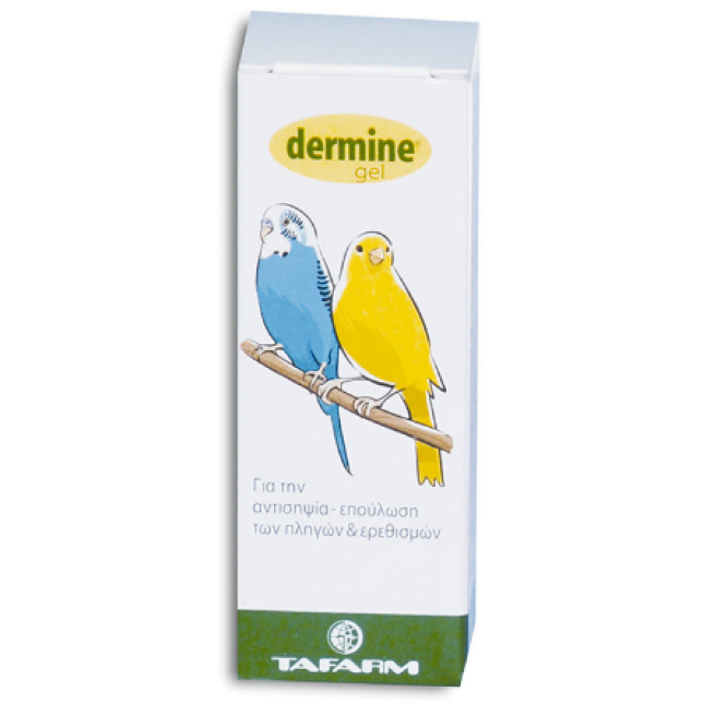 Tafarm dermine Gel για την αντισηψία- επούλωση των πληγών 4ml Tafarm dermine Gel για την αντισηψία- επούλωση των πληγών 4ml