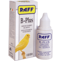 Raff B-plus για την αναιμία 25ml