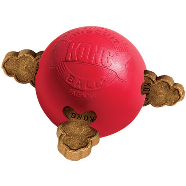 Kong παιχνίδι biscuit μπάλα απασχολεί, διασκεδάζει και επιβραβεύει το σκύλο σας Kong παιχνίδι biscuit μπάλα απασχολεί, διασκεδάζει και επιβραβεύει το σκύλο σας
