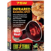 Exo Terra Λάμπα υπέρυθρων κυμάτων θερμότητας 75W-V
