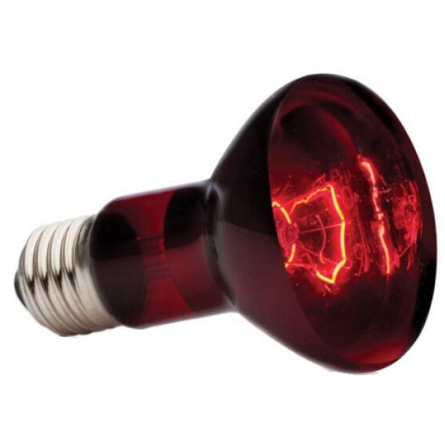 Exo Terra Λάμπα υπέρυθρων κυμάτων θερμότητας 75W-V Exo Terra Λάμπα υπέρυθρων κυμάτων θερμότητας 75W-V