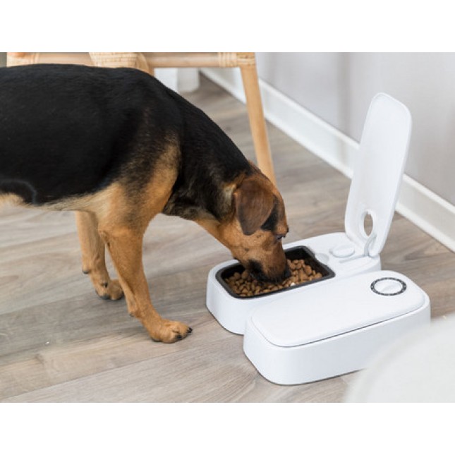 Trixie ταΐστρα αυτόματη τμχ2 300ml 2 γευμάτων 27x7x24cm Trixie ταΐστρα αυτόματη τμχ2 300ml 2 γευμάτων 27x7x24cm