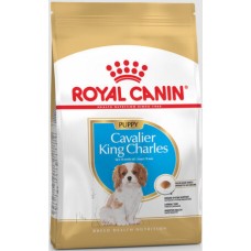 Royal Canin Breed Health Nutrition πλήρης διατροφή υγείας cavalier king charles puppy 1,5kg