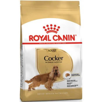 Royal Canin τροφή για ενήλικους σκύλους φυλής Cocker Spaniel - Πάνω των 15 μηνών Royal Canin τροφή για ενήλικους σκύλους φυλής Cocker Spaniel - Πάνω των 15 μηνών