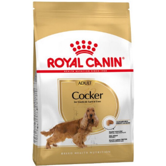 Royal Canin Breed Health Nutrition πλήρης τροφή για ενήλικες σκύλους φυλής cocker