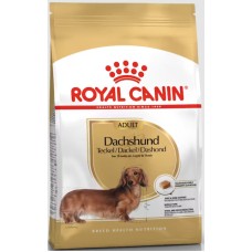 Royal Canin Πλήρης ζωοτροφή για σκύλους – Ειδικά για ενήλικες και ώριμους σκύλους φυλής Dachsh 1,5kg Royal Canin Πλήρης ζωοτροφή για σκύλους – Ειδικά για ενήλικες και ώριμους σκύλους φυλής Dachsh 1,5kg