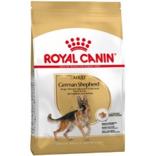 Royal Canin Breed Health Nutrition διατροφή υγείας για υποστήριξη των αρθρώσεων για german shepherd