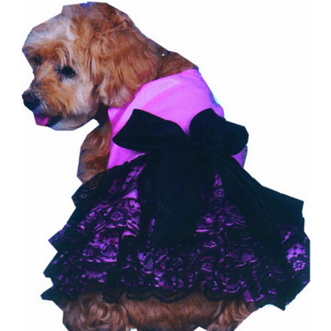 Doggy Dolly φόρεμα μαύρο με ρόζ D119