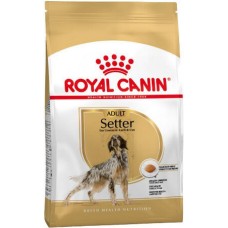 Royal Canin πλήρης τροφή Health Nutrition για ενήλικες σκύλους φυλής setter 12kg