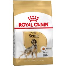 Royal Canin πλήρης τροφή Health Nutrition για ενήλικες σκύλους φυλής setter 12kg Royal Canin πλήρης τροφή Health Nutrition για ενήλικες σκύλους φυλής setter 12kg