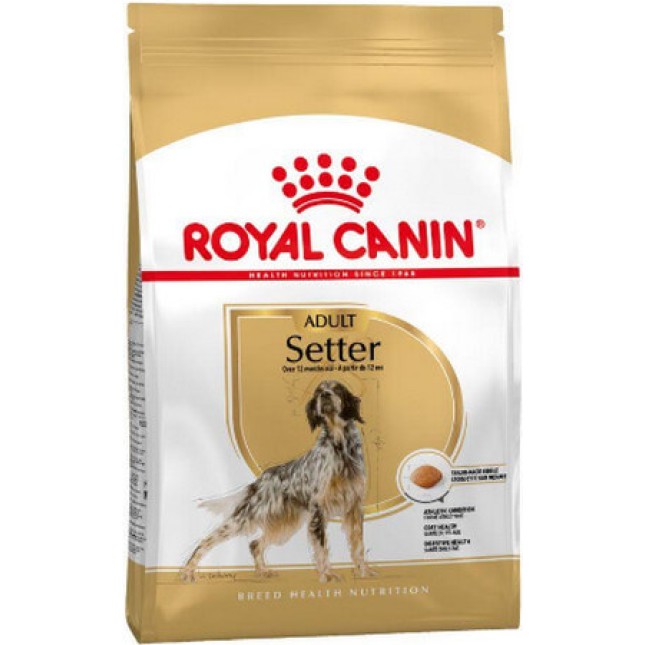 Royal Canin πλήρης τροφή Health Nutrition για ενήλικες σκύλους φυλής setter 12kg Royal Canin πλήρης τροφή Health Nutrition για ενήλικες σκύλους φυλής setter 12kg