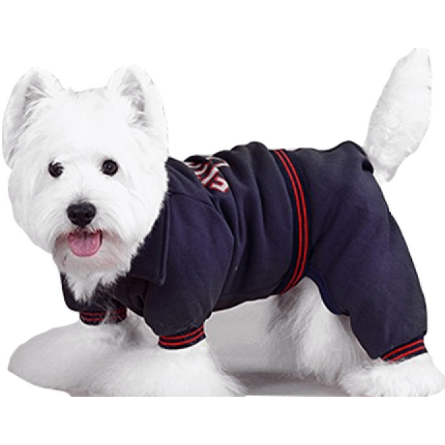 Doggy Dolly φόρμα fitness club μπλε DRF029 Doggy Dolly φόρμα fitness club μπλε DRF029