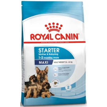 Royal Canin πλήρης τροφή Size Health Nutrition maxi starter για θηλυκές μεγαλόσωμων φυλών