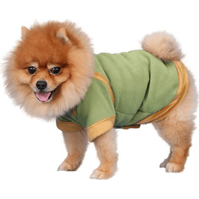 Doggy Dolly πουλόβερ πράσινο φλις W196 medium