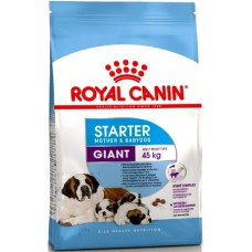 Royal Canin πλήρης τροφή Size Health Nutrition giant starter 4kg για θηλυκές γιγαντόσωμων φυλών