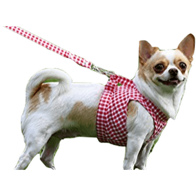 Doggy Dolly γιλέκο κόκκινο με λουρί DCL045 x-small