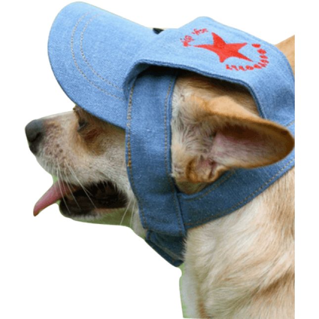 Doggy Dolly καπέλο τζιν CHOO4