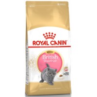 Royal Canin πλήρης τροφή Feline Breed Nutrition kitten brit shorthair 2kg για γατάκια φυλής British