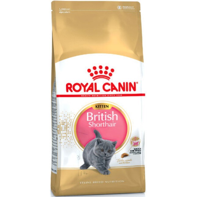Royal Canin πλήρης τροφή Feline Breed Nutrition kitten brit shorthair 2kg για γατάκια φυλής British