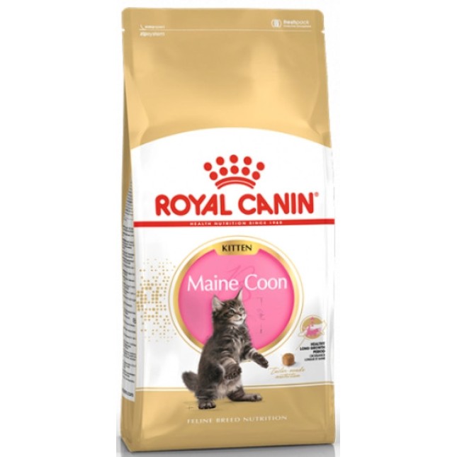 Royal Canin πλήρης τροφή Feline Breed Nutrition kitten maine coon ειδικά για Main Coon γατάκια