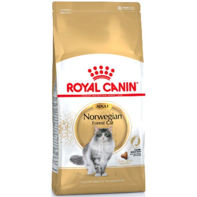 Royal Canin Feline Breed Nutrition norwegian πλήρης τροφή για γάτες Norwegian Forest από 1 έως 12 ετ