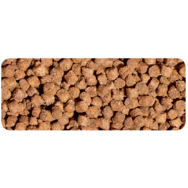 Fides Breeder Junior Fides Breeder Junior