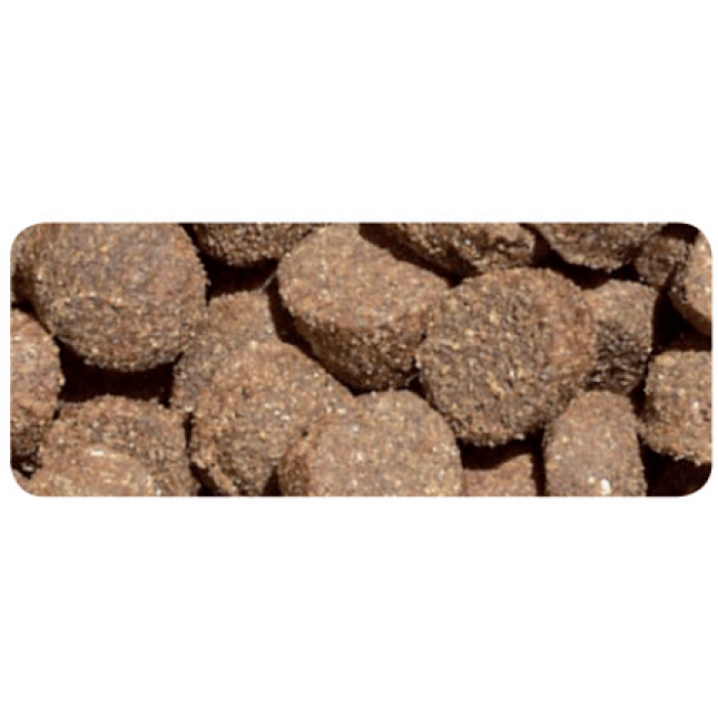 Fides Breeder Salmon για σκύλους 20kg Fides Breeder Salmon για σκύλους 20kg