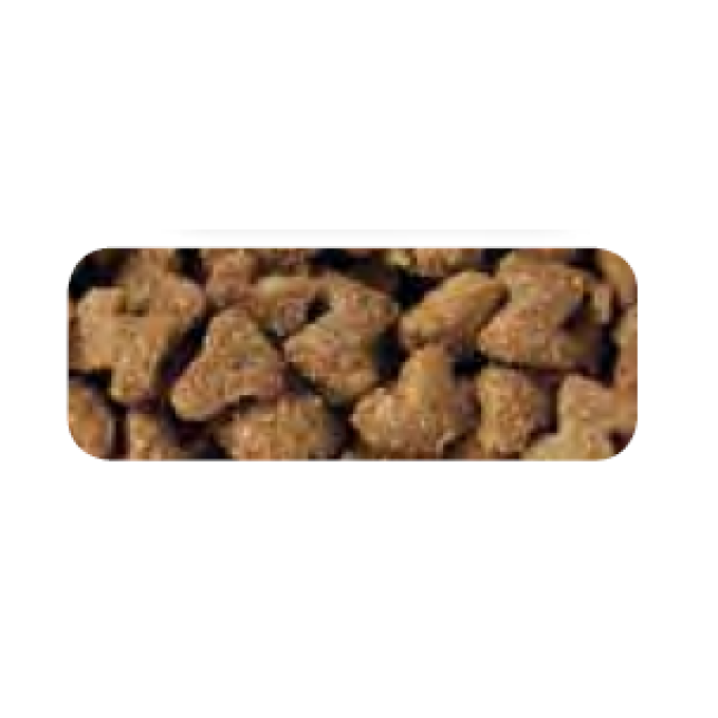 Beduco katz menu για γατάκια 2kg Beduco katz menu για γατάκια 2kg