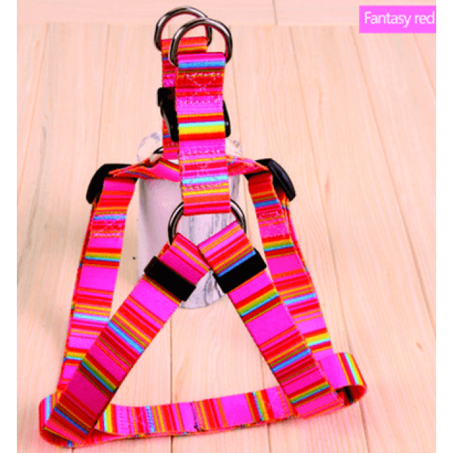 Petler σαμαράκι rainbow ροζ x-small Petler σαμαράκι rainbow ροζ x-small