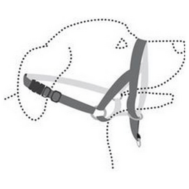 Flamingo περιλαίμιο εκπαιδευτικό easy leader l A:40cm B:50-65cmX20mmX2mm Flamingo περιλαίμιο εκπαιδευτικό easy leader l A:40cm B:50-65cmX20mmX2mm