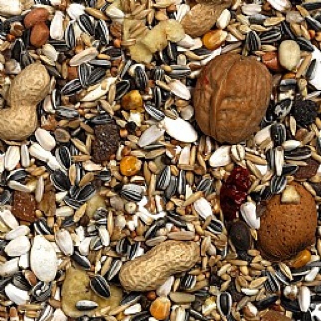 Versele-Laga Exotic Nut με 20% Ξηρούς Καρπούς 15kg Versele-Laga Exotic Nut με 20% Ξηρούς Καρπούς 15kg