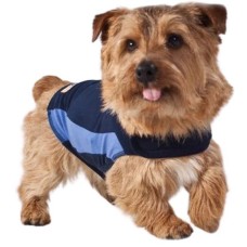 THUNDERSHIRT ΚΑΤΑΠΟΛΕΜΗΣΗΣ ΤΟΥ ΑΓΧΟΥΣ ΓΙΑ ΣΚΥΛΟΥΣ S THUNDERSHIRT ΚΑΤΑΠΟΛΕΜΗΣΗΣ ΤΟΥ ΑΓΧΟΥΣ ΓΙΑ ΣΚΥΛΟΥΣ S