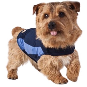 THUNDERSHIRT ΚΑΤΑΠΟΛΕΜΗΣΗΣ ΤΟΥ ΑΓΧΟΥΣ ΓΙΑ ΣΚΥΛΟΥΣ S THUNDERSHIRT ΚΑΤΑΠΟΛΕΜΗΣΗΣ ΤΟΥ ΑΓΧΟΥΣ ΓΙΑ ΣΚΥΛΟΥΣ S