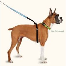 THUNDER LEASH ΓΙΑ ΣΚΥΛΟΥΣ SMALL THUNDER LEASH ΓΙΑ ΣΚΥΛΟΥΣ SMALL