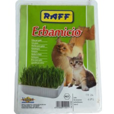 Raff χόρτο γάτας erbamiciο