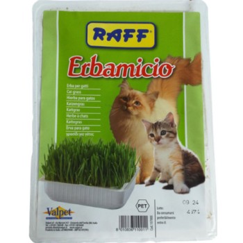 Raff χόρτο γάτας erbamiciο