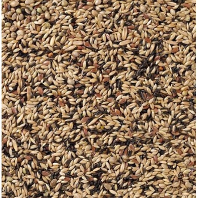 Deli Nature 80-Υψηλής ποιότητας μείγμα ιδανικό για τα μεγαλύτερα είδη καναρινιών Deli Nature 80-Υψηλής ποιότητας μείγμα ιδανικό για τα μεγαλύτερα είδη καναρινιών