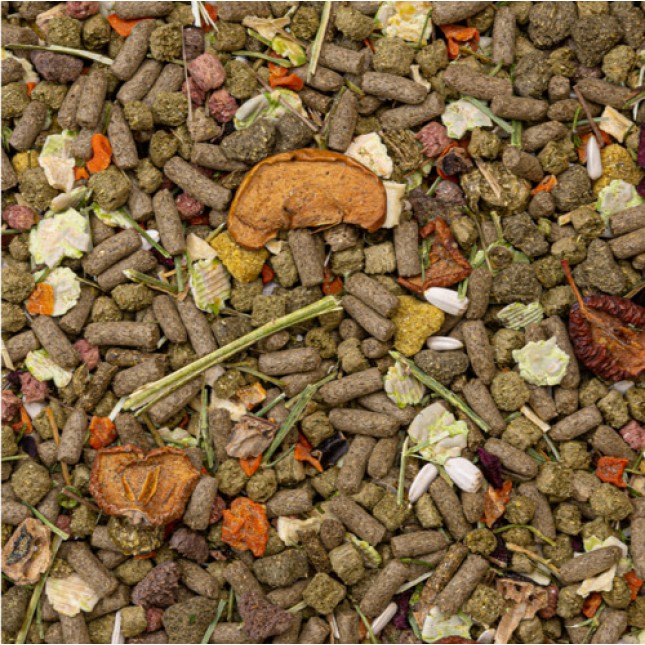 Deli Nature 5 Star Πλήρες μίγμα τροφής ειδικά σχεδιασμένο για ηλικιωμένα ή υπέρβαρα κουνέλια νάνοι Deli Nature 5 Star Πλήρες μίγμα τροφής ειδικά σχεδιασμένο για ηλικιωμένα ή υπέρβαρα κουνέλια νάνοι