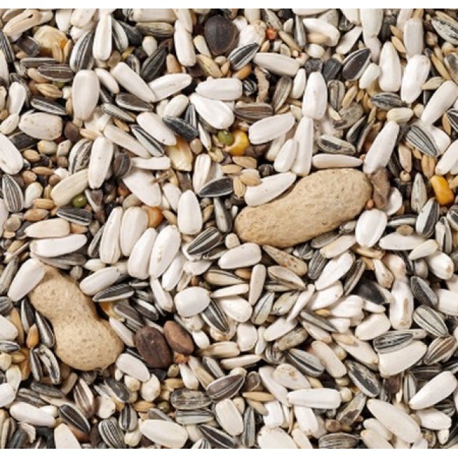 Deli Nature 60 βασικό μείγμα για όλα τα είδη παπαγάλων με ολόκληρα και ξεφλουδισμένα φιστίκια Deli Nature 60 βασικό μείγμα για όλα τα είδη παπαγάλων με ολόκληρα και ξεφλουδισμένα φιστίκια