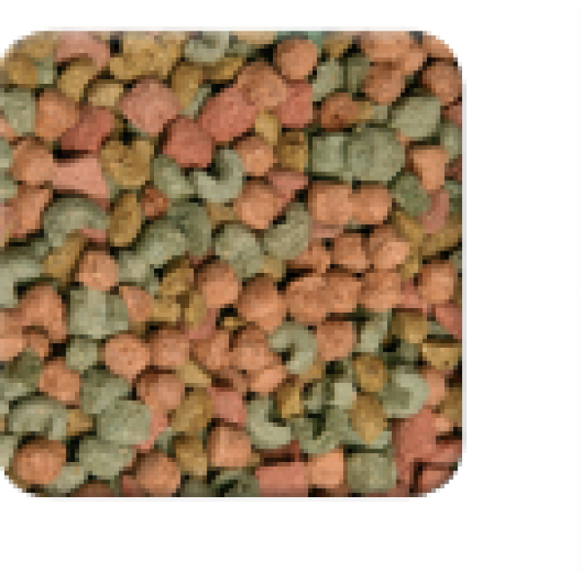 Beaphar care+hamster για χάμστερ 700gr Beaphar care+hamster για χάμστερ 700gr