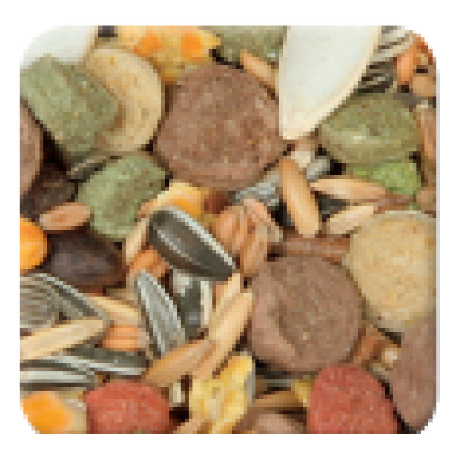 Beaphar xtra vital squirrel για σκιουράκια 800gr Beaphar xtra vital squirrel για σκιουράκια 800gr
