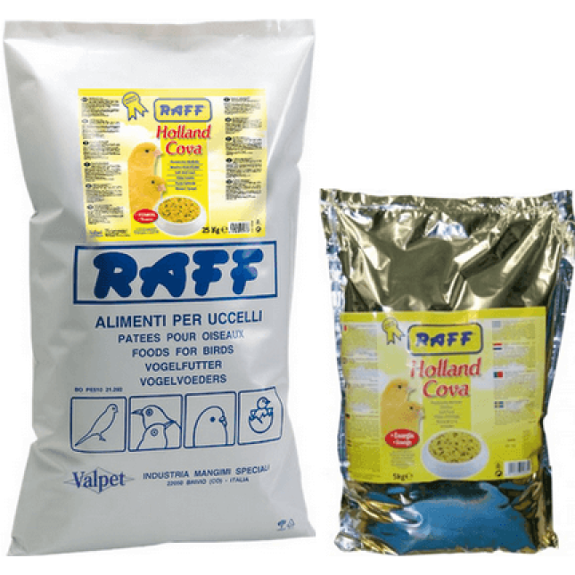 Raff hοlland cova μαλακή κίτρινη αυγοτροφή Raff hοlland cova μαλακή κίτρινη αυγοτροφή