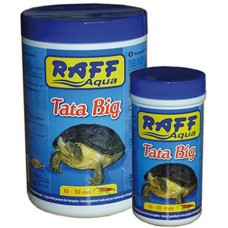 Raff tata big χελωνοτροφή μεγάλη γαρίδα
