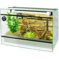 Terrarium set 60 κομπλέ