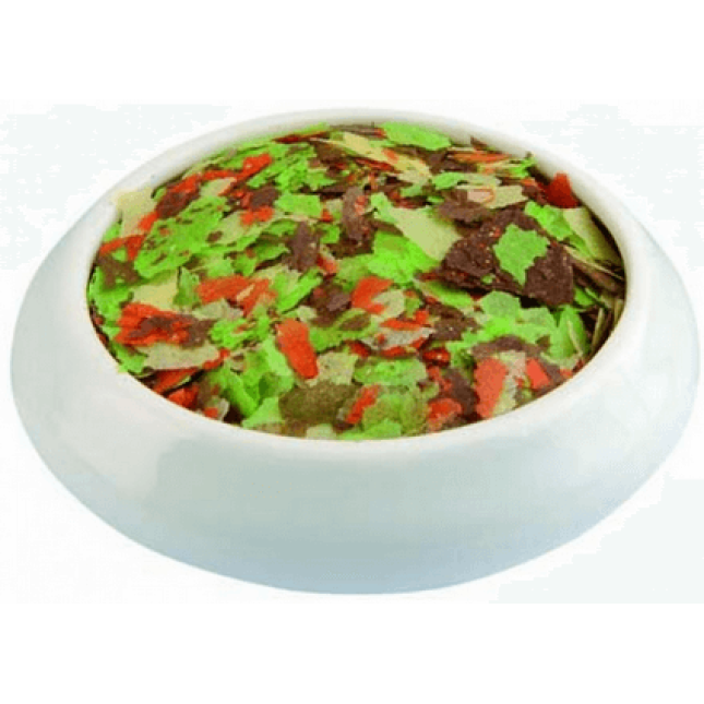 Raff τροφή με βιταμίνες flipper για χρυσόψαρα 50gr Raff τροφή με βιταμίνες flipper για χρυσόψαρα 50gr