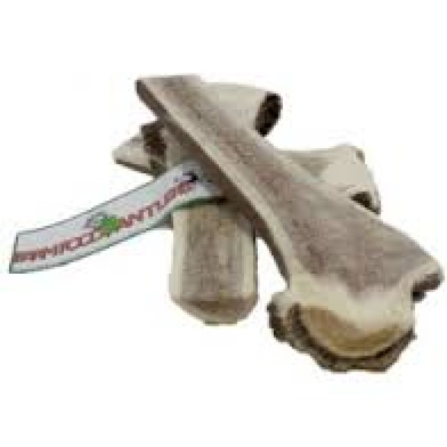 ΜΙΣΟ ΚΕΡΑΤΟ ANTLER MEDIUM ΜΙΣΟ