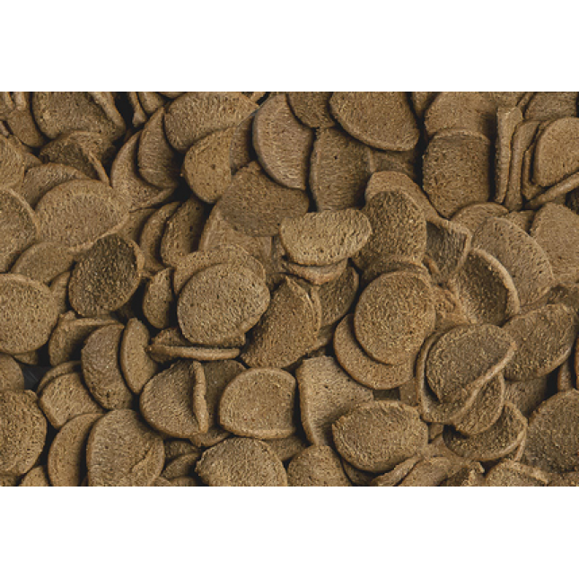 Sera Vipachips nature , βασική τροφή αποτελούμενη από φλίδες με έντομα 4% για ψάρια βυθού Sera Vipachips nature , βασική τροφή αποτελούμενη από φλίδες με έντομα 4% για ψάρια βυθού
