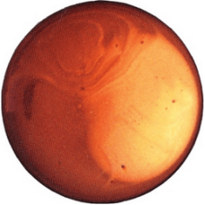 Μπάλες διακοσμητικές ενυδρείου γυάλινες amber 40mm