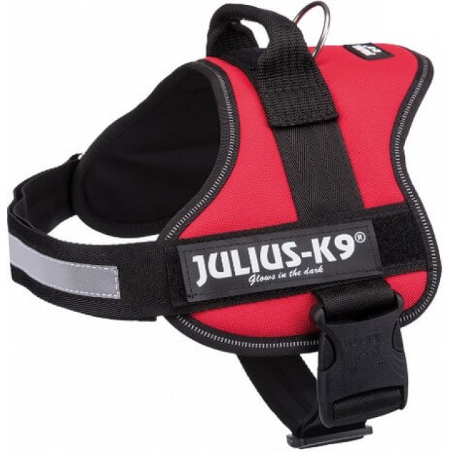 Julius-K9 σαμάρι 1/l 63-85cm/50mm κόκκινο Julius-K9 σαμάρι 1/l 63-85cm/50mm κόκκινο